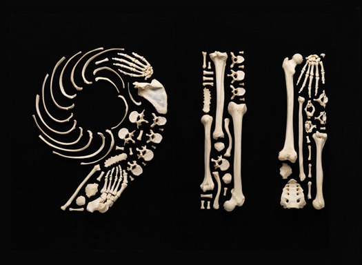 The Bones of Francois Robert: Slideshow: Slide 7