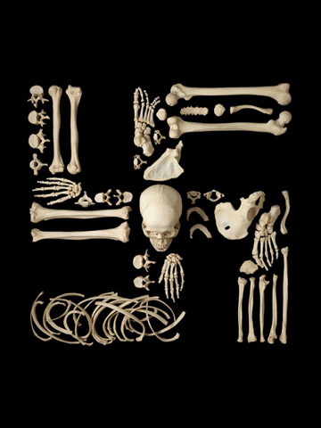 The Bones of Francois Robert: Slideshow: Slide 20