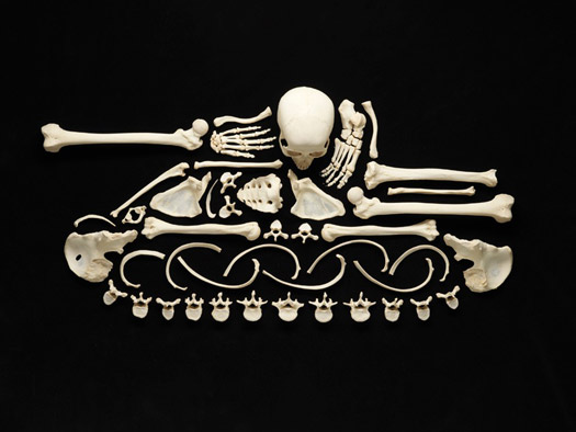 The Bones of Francois Robert: Slideshow: Slide 3